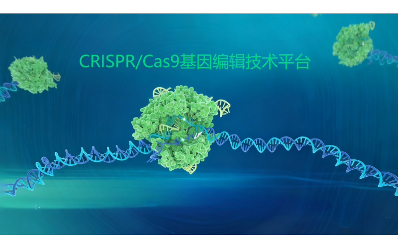 CRISPR/Cas9基因編輯技術(shù)平臺